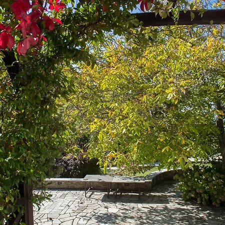A Superb Mansion With Garden In Pelion Villa
